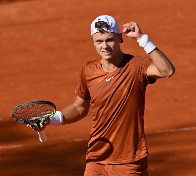 膝关节韧带 膝关节韧带